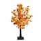 21in. Pre-Lit Bright Autumn Eucalyptus Artificial Fall Tree with 50 Warm White LED Lights and Detachable Base